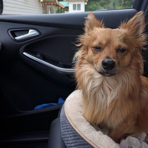 Meet your Posher, Andrew